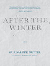 Cover image for After the Winter